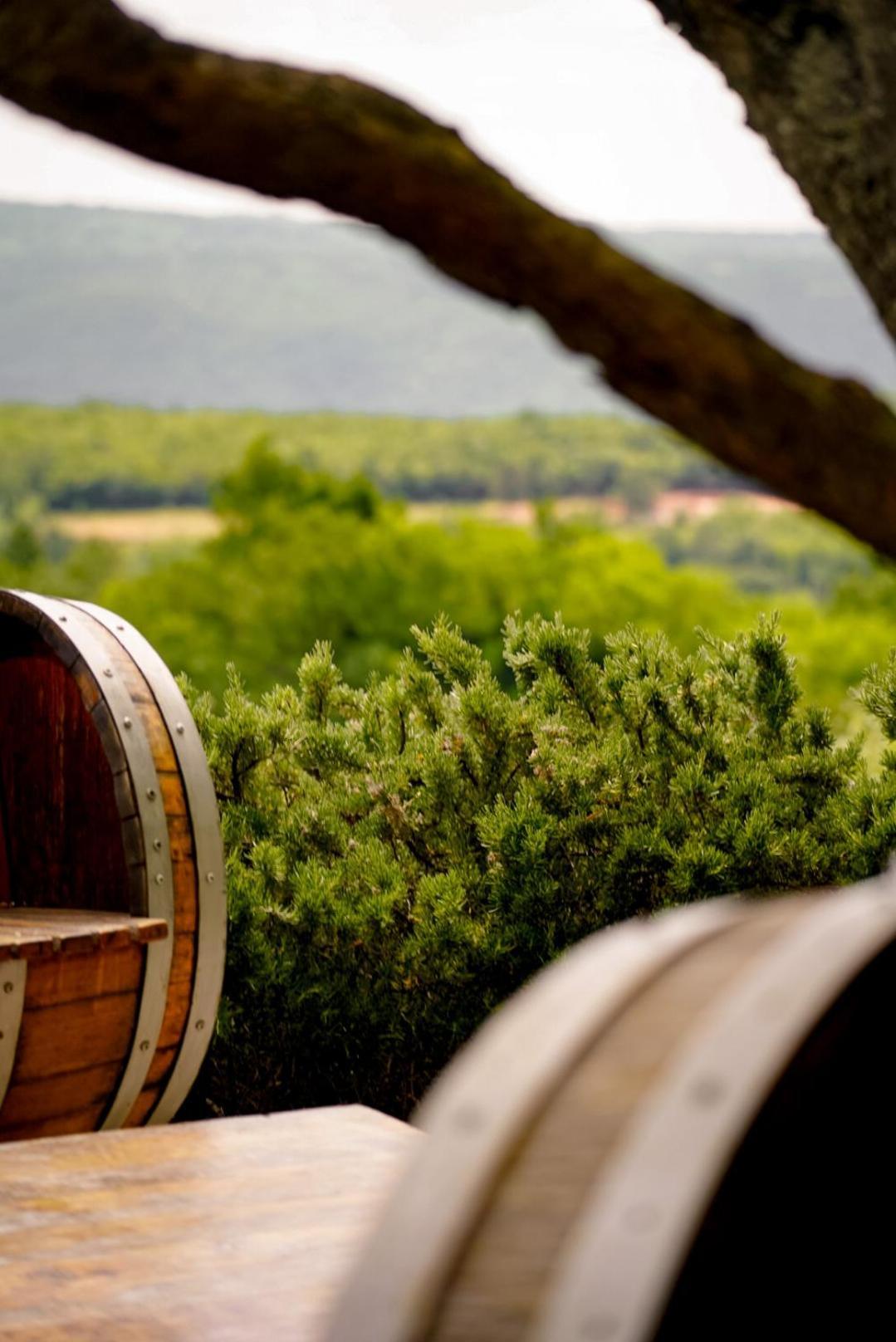 Wine Residence Cattunar Brtonigla Exteriér fotografie