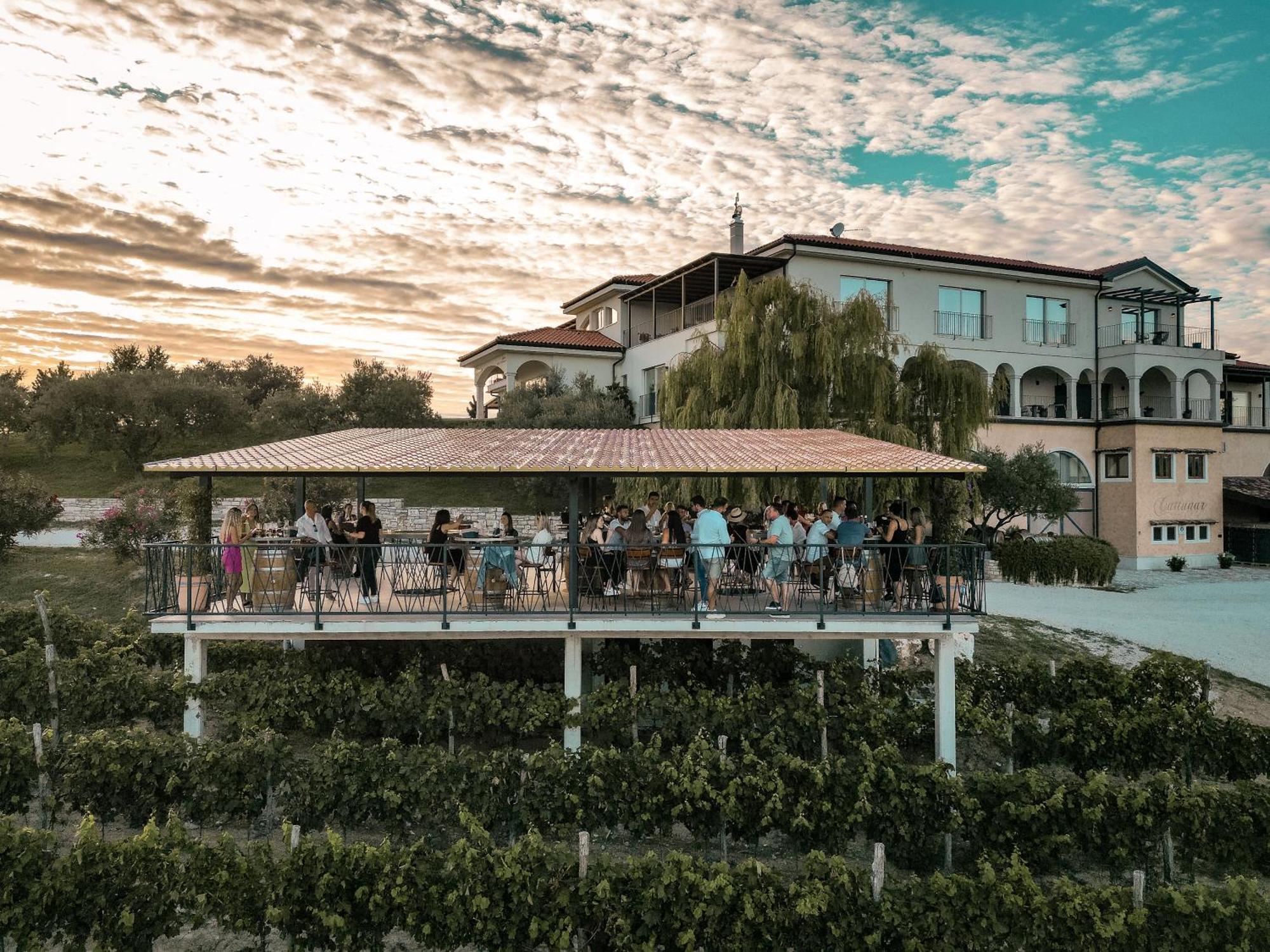 Wine Residence Cattunar Brtonigla Exteriér fotografie