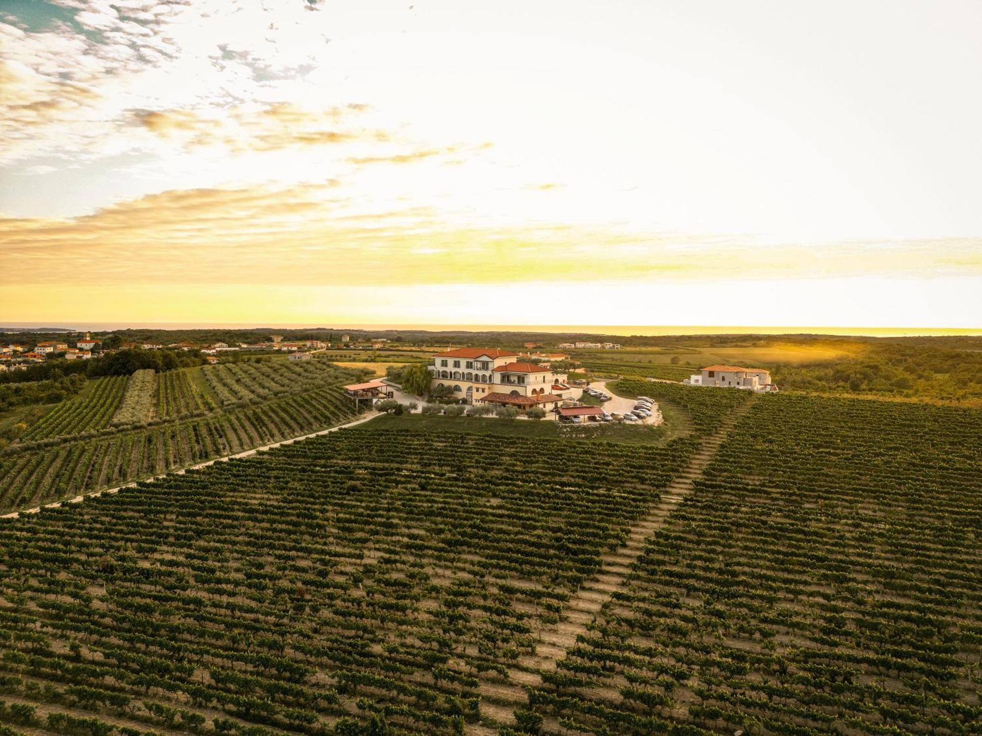 Wine Residence Cattunar Brtonigla Exteriér fotografie